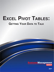 Excel Pivot Tables